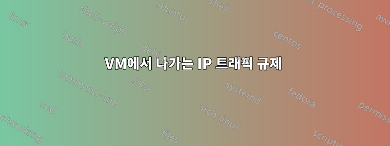 VM에서 나가는 IP 트래픽 규제