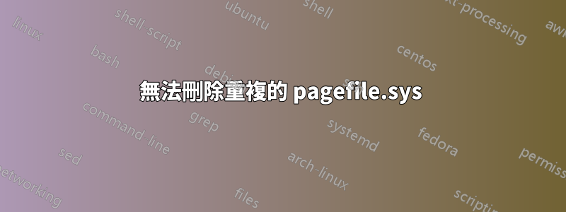 無法刪除重複的 pagefile.sys