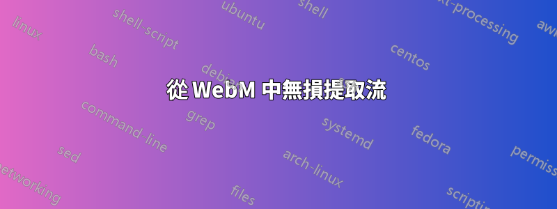 從 WebM 中無損提取流