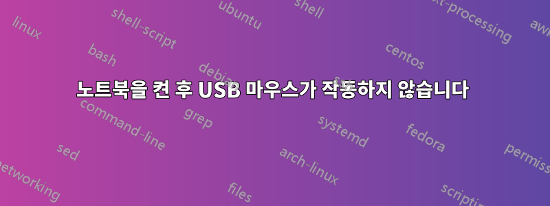 노트북을 켠 후 USB 마우스가 작동하지 않습니다