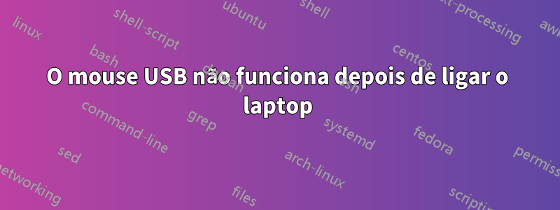 O mouse USB não funciona depois de ligar o laptop