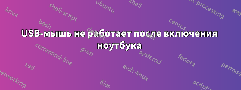 USB-мышь не работает после включения ноутбука