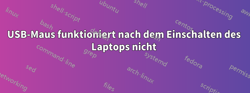 USB-Maus funktioniert nach dem Einschalten des Laptops nicht