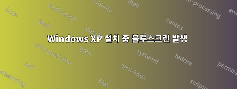 Windows XP 설치 중 블루스크린 발생