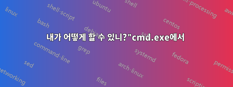 내가 어떻게 할 수 있니?"cmd.exe에서