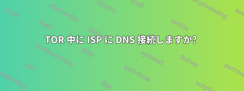 TOR 中に ISP に DNS 接続しますか?