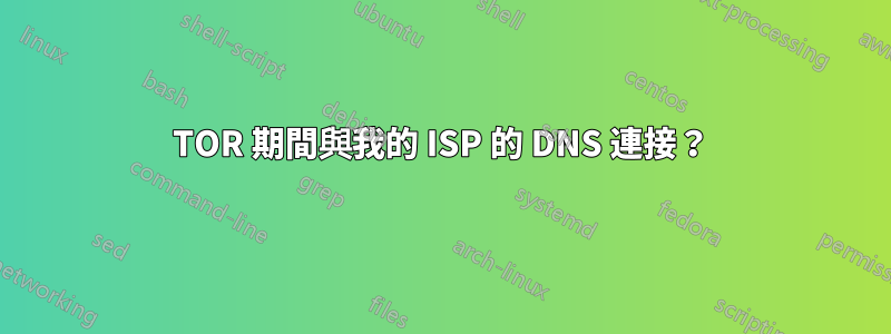 TOR 期間與我的 ISP 的 DNS 連接？