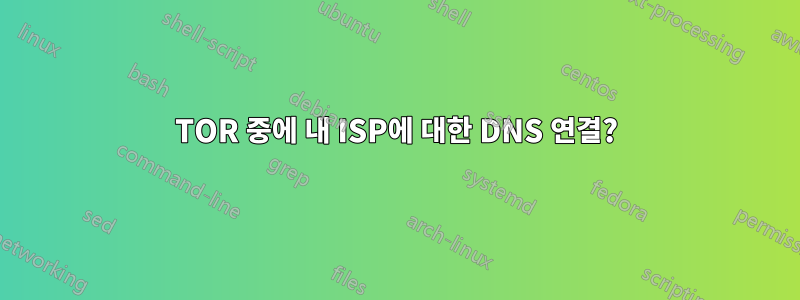 TOR 중에 내 ISP에 대한 DNS 연결?