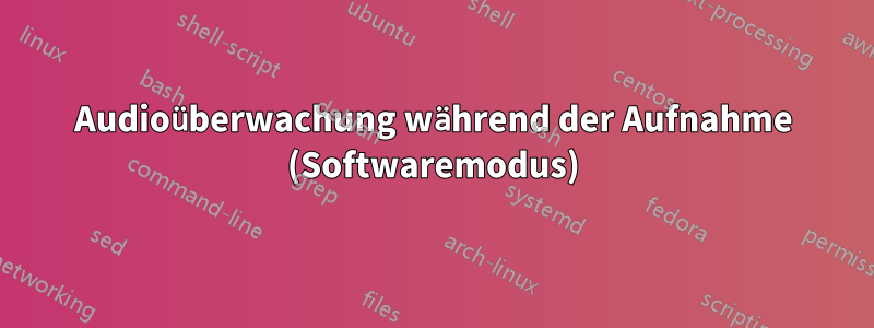 Audioüberwachung während der Aufnahme (Softwaremodus)