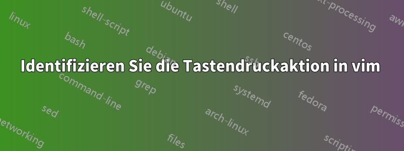 Identifizieren Sie die Tastendruckaktion in vim