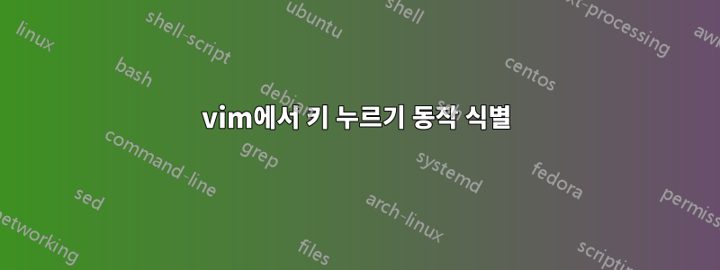 vim에서 키 누르기 동작 식별