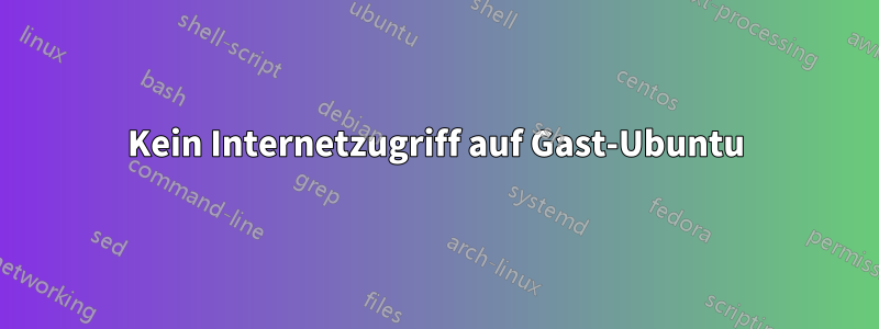 Kein Internetzugriff auf Gast-Ubuntu