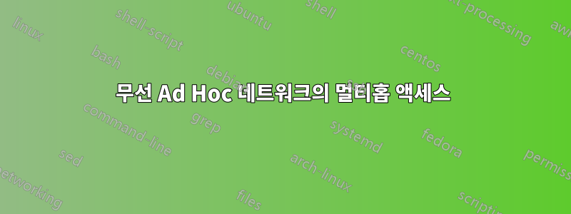 무선 Ad Hoc 네트워크의 멀티홉 액세스