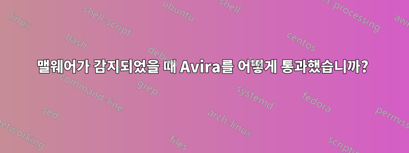 맬웨어가 감지되었을 때 Avira를 어떻게 통과했습니까?