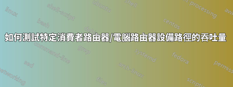 如何測試特定消費者路由器/電腦路由器設備路徑的吞吐量