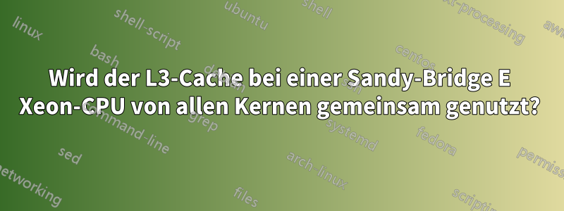 Wird der L3-Cache bei einer Sandy-Bridge E Xeon-CPU von allen Kernen gemeinsam genutzt?