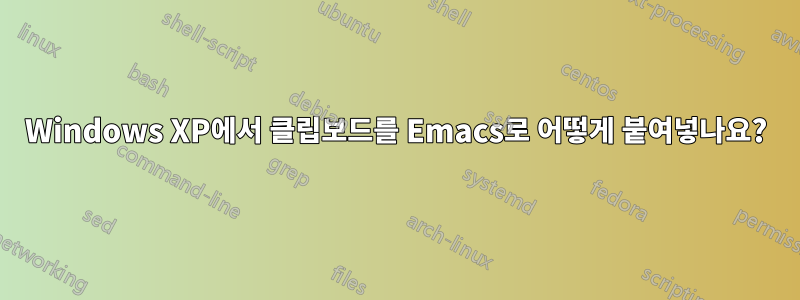 Windows XP에서 클립보드를 Emacs로 어떻게 붙여넣나요?