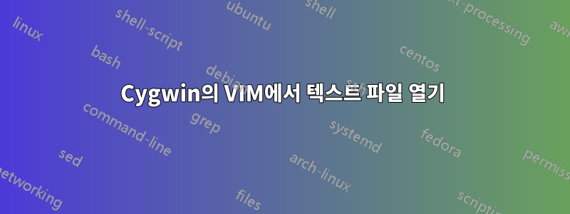 Cygwin의 VIM에서 텍스트 파일 열기