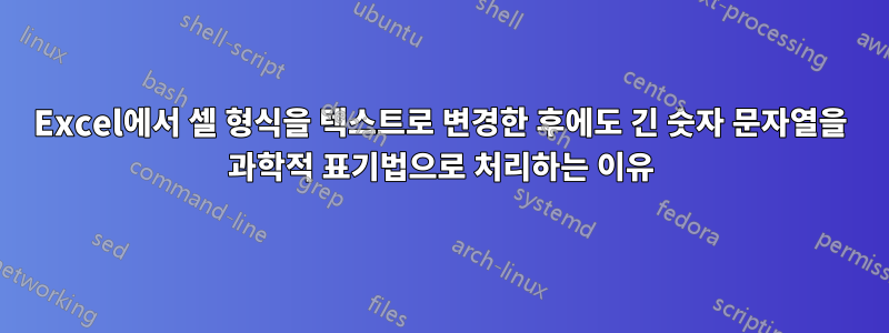 Excel에서 셀 형식을 텍스트로 변경한 후에도 긴 숫자 문자열을 과학적 표기법으로 처리하는 이유