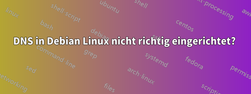 DNS in Debian Linux nicht richtig eingerichtet?