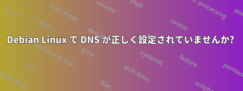 Debian Linux で DNS が正しく設定されていませんか?