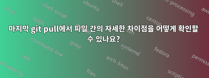 마지막 git pull에서 파일 간의 자세한 차이점을 어떻게 확인할 수 있나요?