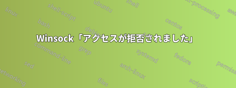 Winsock「アクセスが拒否されました」