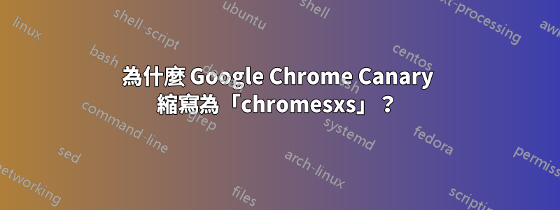 為什麼 Google Chrome Canary 縮寫為「chromesxs」？