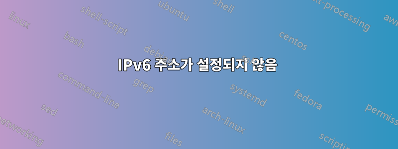 IPv6 주소가 설정되지 않음