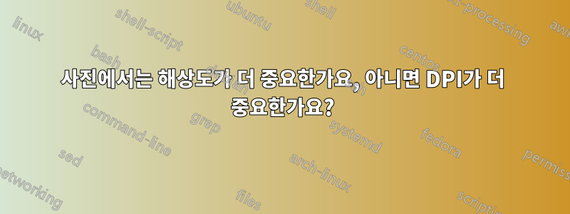 사진에서는 해상도가 더 중요한가요, 아니면 DPI가 더 중요한가요?