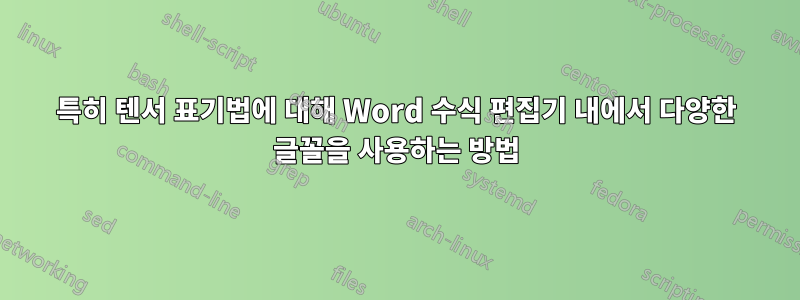 특히 텐서 표기법에 대해 Word 수식 편집기 내에서 다양한 글꼴을 사용하는 방법