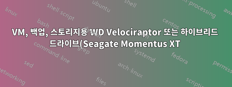 VM, 백업, 스토리지용 WD Velociraptor 또는 하이브리드 드라이브(Seagate Momentus XT)?
