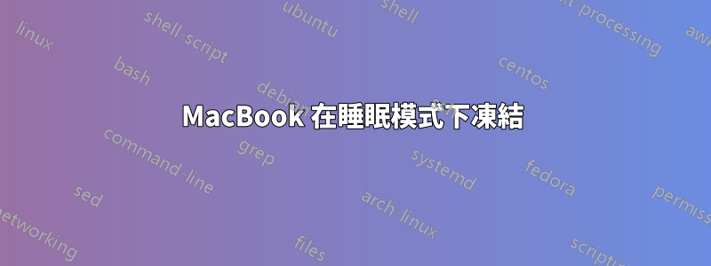 MacBook 在睡眠模式下凍結