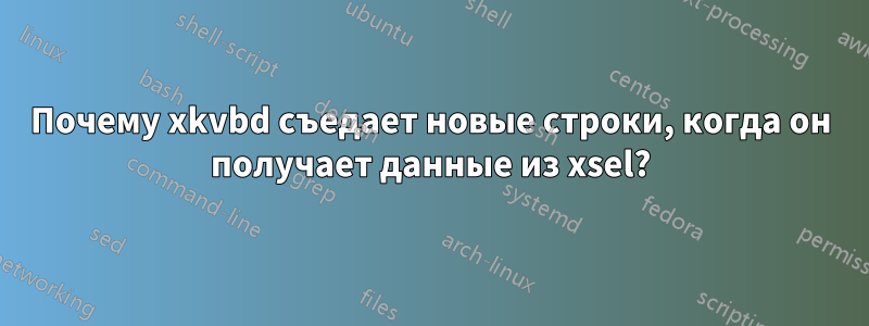 Почему xkvbd съедает новые строки, когда он получает данные из xsel?