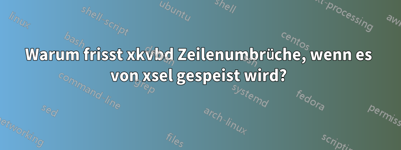 Warum frisst xkvbd Zeilenumbrüche, wenn es von xsel gespeist wird?