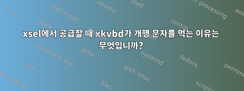 xsel에서 공급할 때 xkvbd가 개행 문자를 먹는 이유는 무엇입니까?