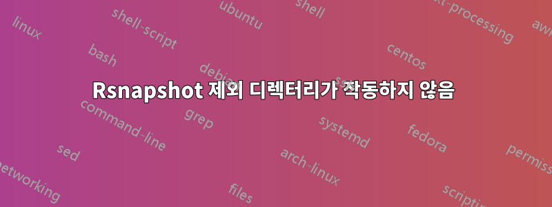 Rsnapshot 제외 디렉터리가 작동하지 않음