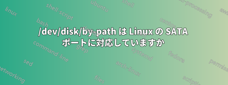 /dev/disk/by-path は Linux の SATA ポートに対応していますか