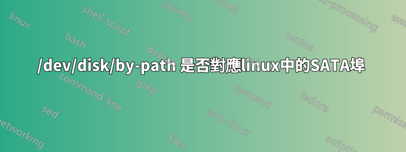 /dev/disk/by-path 是否對應linux中的SATA埠