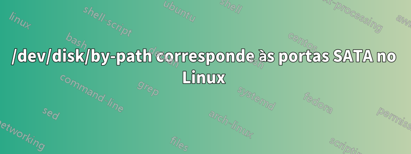 /dev/disk/by-path corresponde às portas SATA no Linux