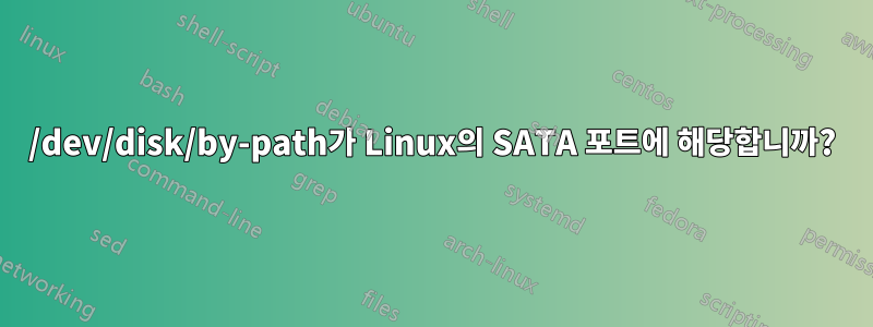 /dev/disk/by-path가 Linux의 SATA 포트에 해당합니까?