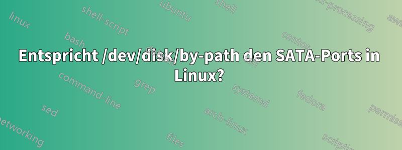 Entspricht /dev/disk/by-path den SATA-Ports in Linux?