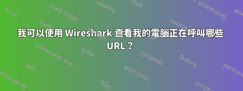 我可以使用 Wireshark 查看我的電腦正在呼叫哪些 URL？