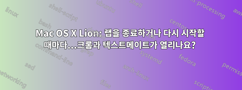 Mac OS X Lion: 랩을 종료하거나 다시 시작할 때마다...크롬과 텍스트메이트가 열리나요?