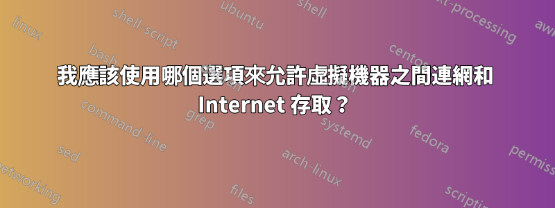 我應該使用哪個選項來允許虛擬機器之間連網和 ​​Internet 存取？