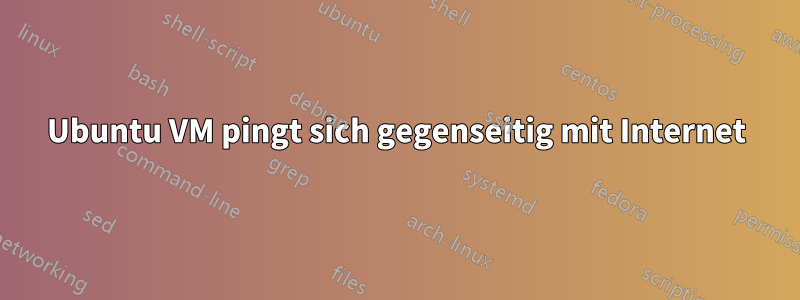 Ubuntu VM pingt sich gegenseitig mit Internet
