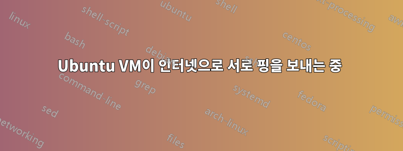 Ubuntu VM이 인터넷으로 서로 핑을 보내는 중