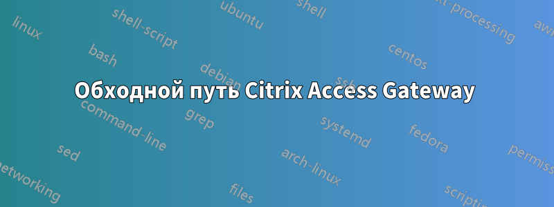 Обходной путь Citrix Access Gateway