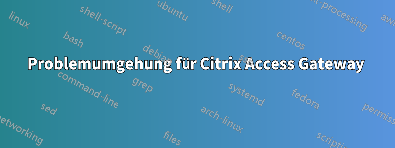 Problemumgehung für Citrix Access Gateway