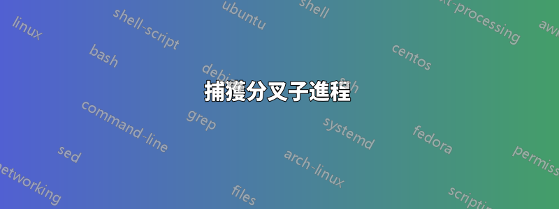 捕獲分叉子進程